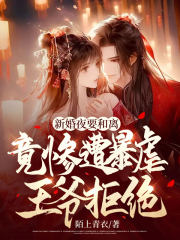 新婚之夜帮残废王爷做手术