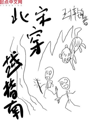 北宋穿越指南 笔书网