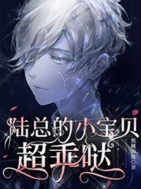 陆总宝贝乖又甜全文免费