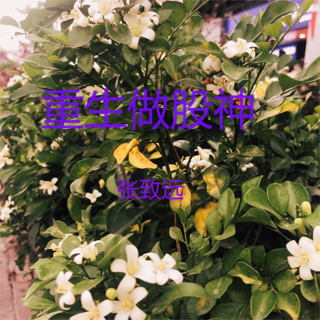 重生之股神小说