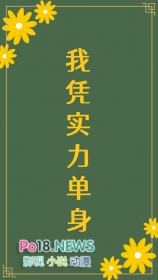我凭实力单身下一句