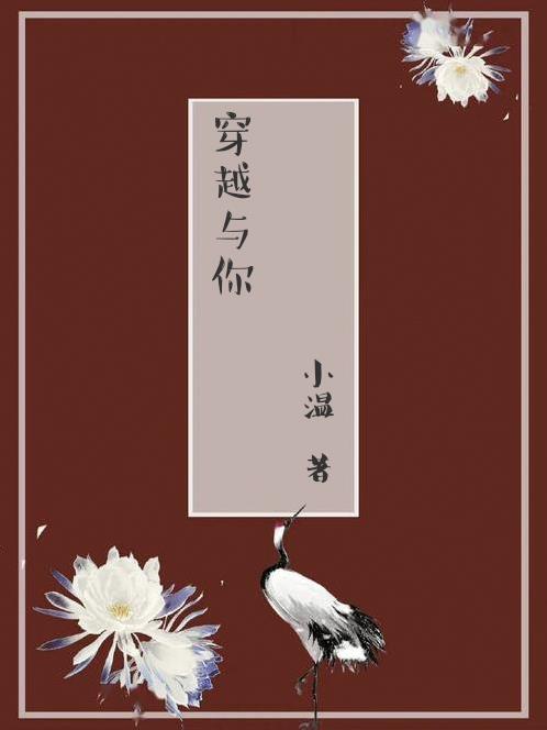 穿越与你邂逅知乎