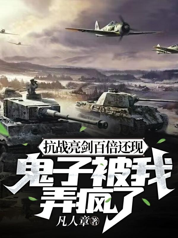 亮剑抗战小说