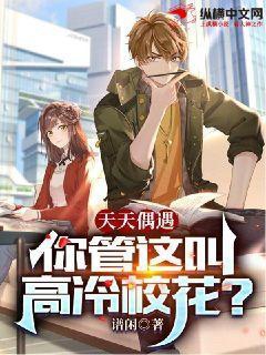 天天偶遇你管这叫高冷校笔趣阁
