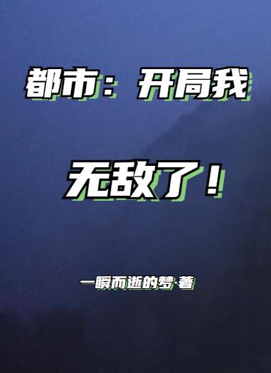 都市:开局我无敌了小说