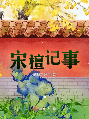 宋檀记事讲什么