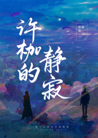 新疆的经济环境咋样