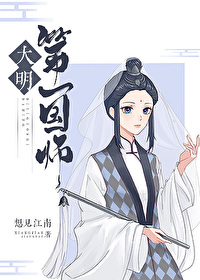 大明第一太子小说