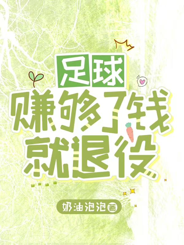 足球赚够了钱就退役小说原名