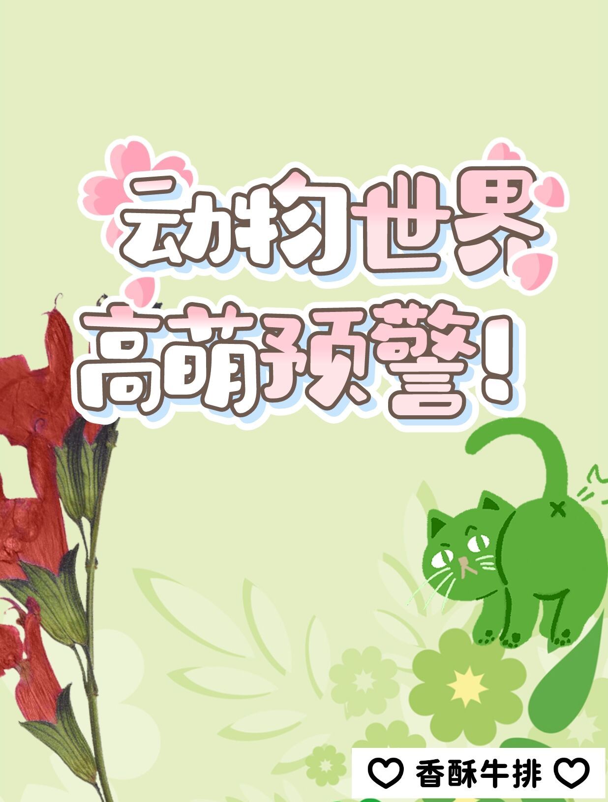 动物世界万人迷图鉴免费