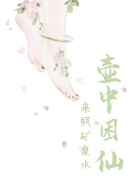 壶中日月是什么意思