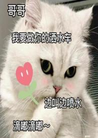 年底给客户的寄语