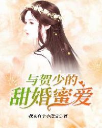 贺少的闪婚暖妻小说剧情简介