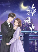 撩过火讲的什么