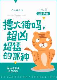 撸大猫是什么体验