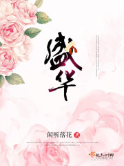 盛华小说
