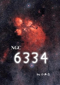 6334小声点TXT下载