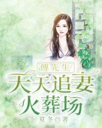 傅先生今天追妻成功了吗