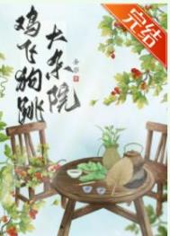 鸡飞狗跳大杂院16