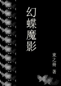幻蝶特效道具