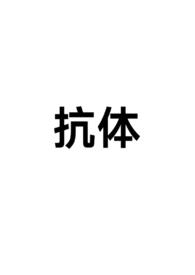 抗体能直接杀死病毒吗